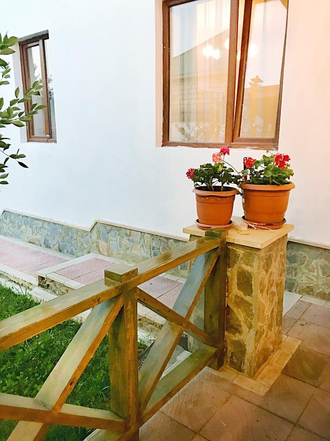 Gabala Sweet Lounge Villa Luaran gambar